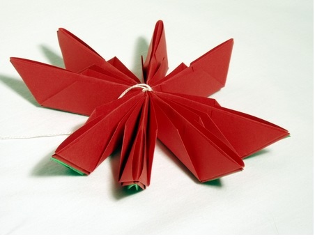 Flor de Lotus Feito de Origami  dobra