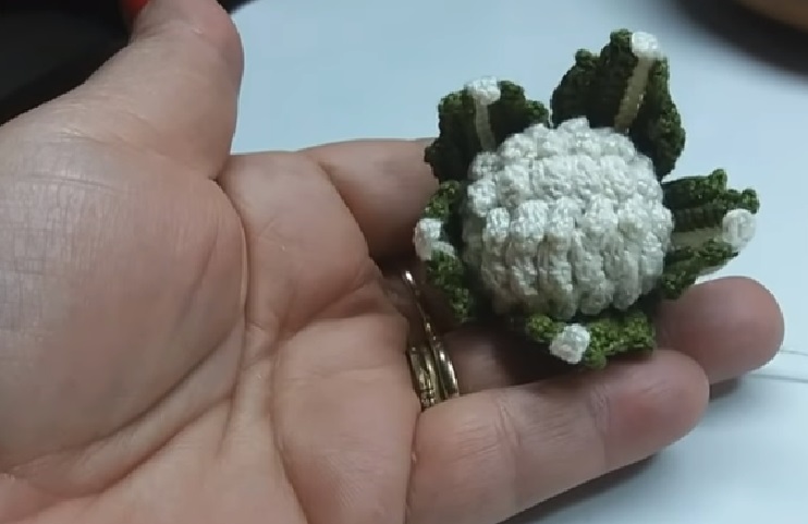 Amigurumi Couve Flor Em Crochê – Material e Vídeo