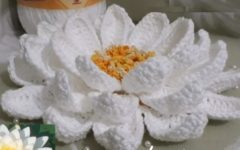 Flor Vitória Régia Em Crochê – Material e Vídeo