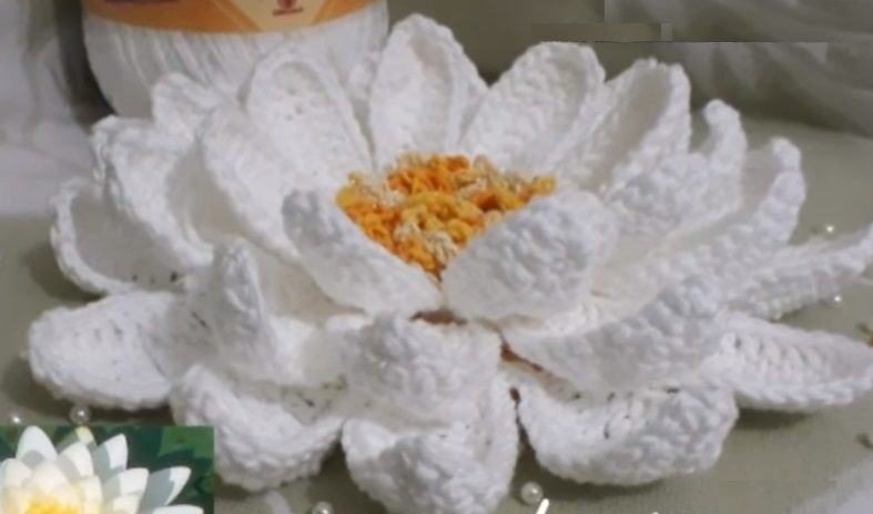 Flor Vitória Régia Em Crochê – Material e Vídeo