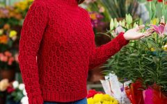 Blusa Vermelha Casa de Abelha Em Crochê – Material e Receita